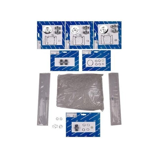 Pump Repair Parts- Kit, maint.ClO2/162-060/with pump DMX, DMX Series.